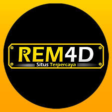 Coming from Newcomer for you to Pro: Learning REM4D around 2025